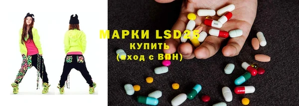 прущие грибы Алзамай