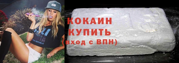 дмт Гусев
